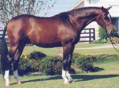 Zarr
