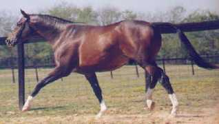 Zarr