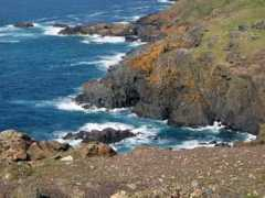 Zawn