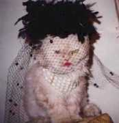 makeupandhair.com Zcat