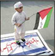 ptvchat.informe.com Zeebi