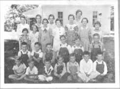 carolyar.com Zelhart