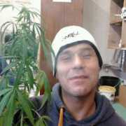 metro.co.uk Zendarski