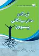 csingo.org Zhng