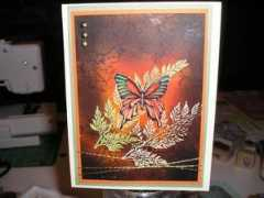 splitcoaststampers.com Zindorf