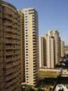 skyscrapercity.com Zonasul