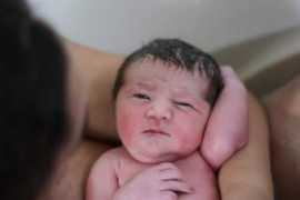 babiesandbacon.com Zorie