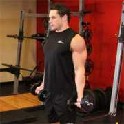 bodybuilding.com Zottman