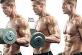 muscleandfitness.com Zottman