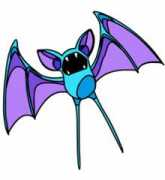 Zubat