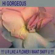 picturetrail.com Zubere