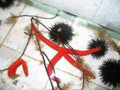 leland.stanford.edu Zyadah